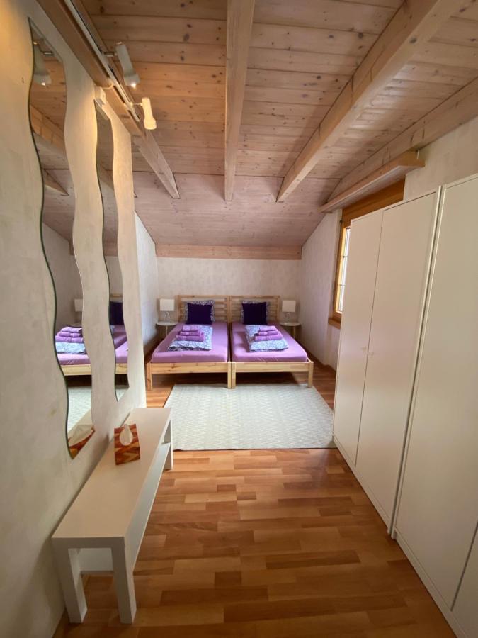 Appartement Haus Wiggis à Netstal Extérieur photo